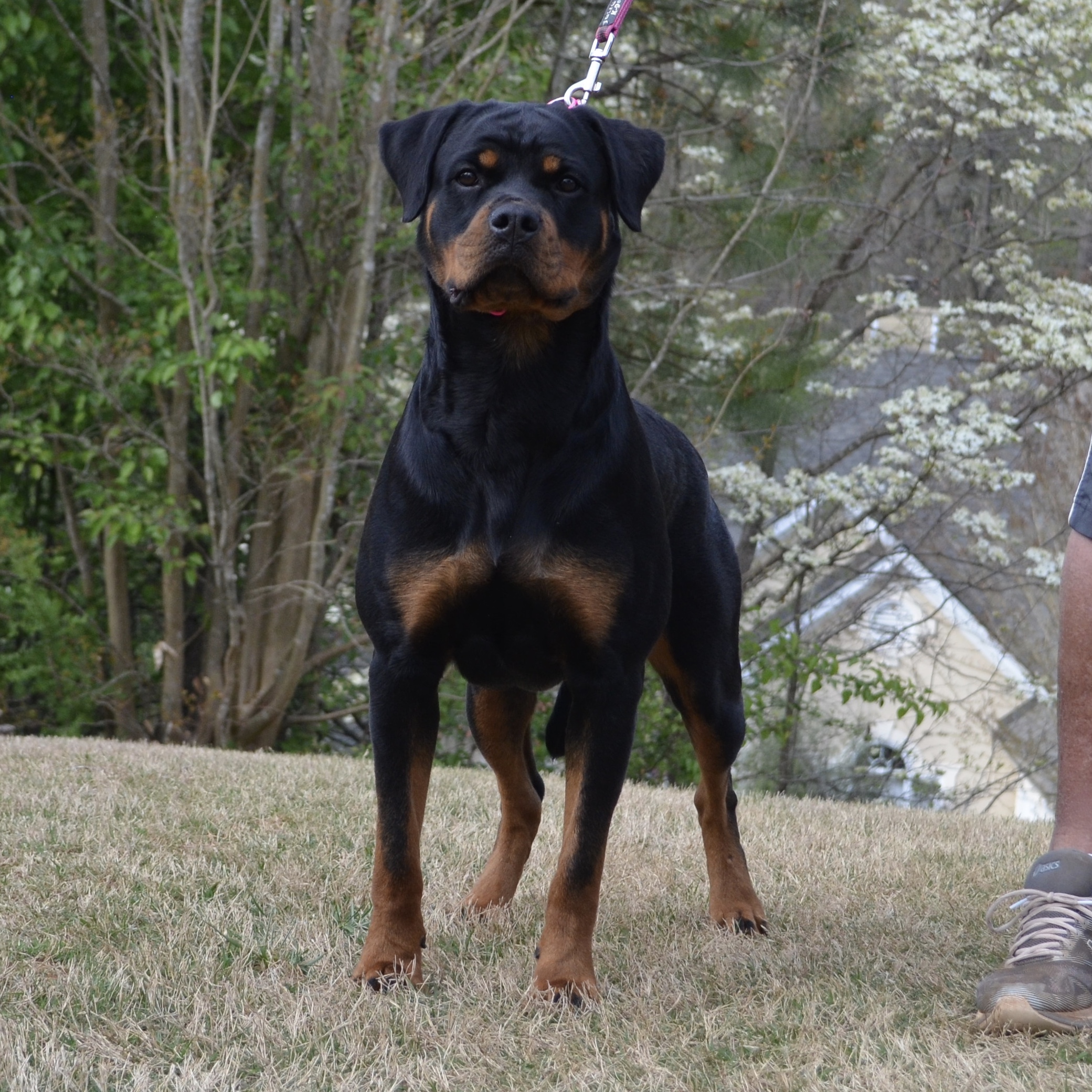 Hammom fotosuratidagi kokraklar